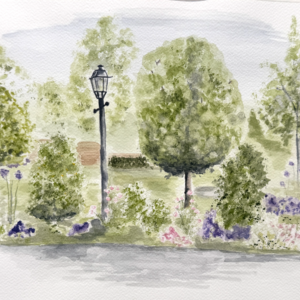 Lavender and Light